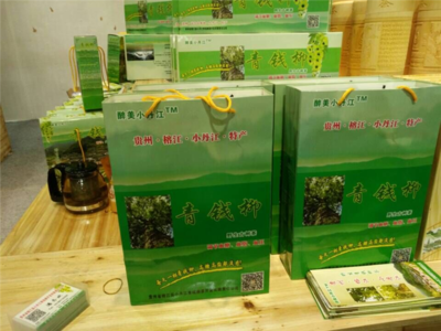 青钱柳苗-贵州青钱柳苗